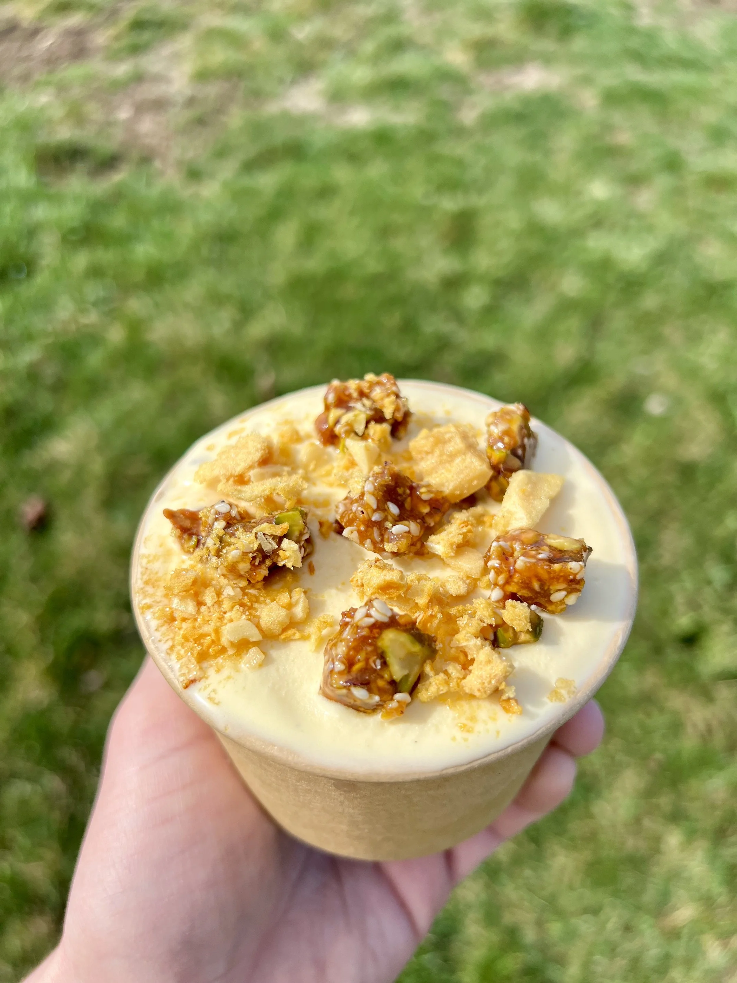 IMG_9494.jpeg