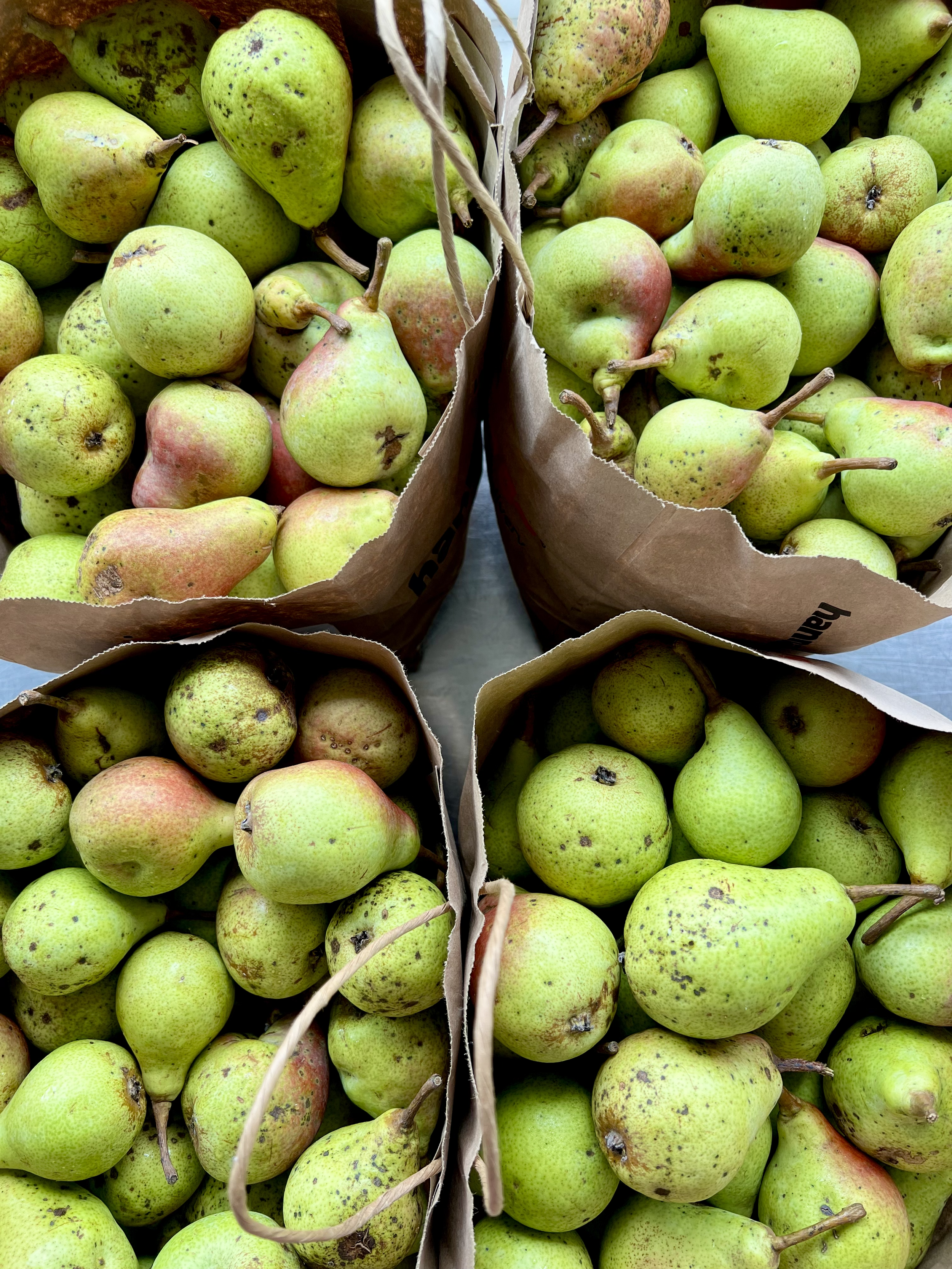 Groups of fresh green and red pears in brown paper bags.