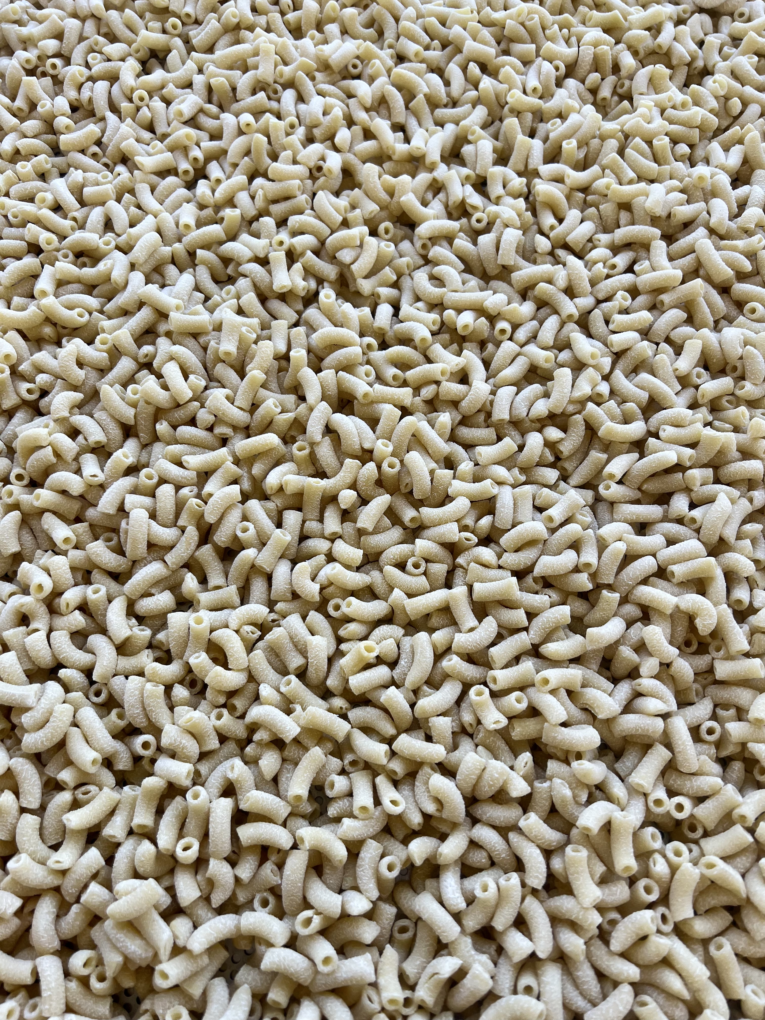 Close-up photo of uncooked small, curved pasta pieces.