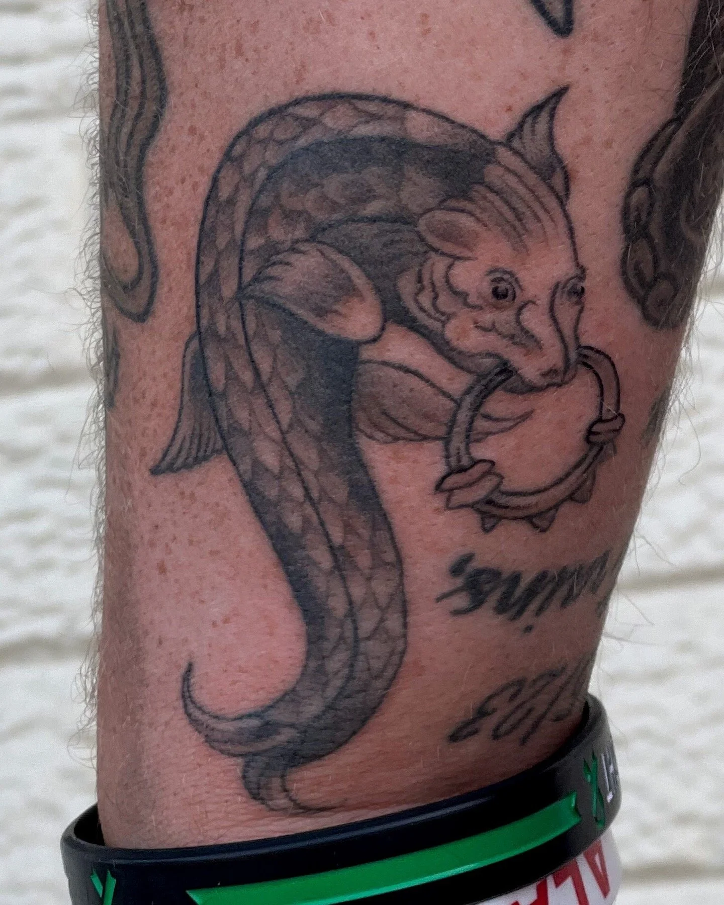 CC912C8B-BCB8-48A2-9D7D-287F7003B43D (1).JPG