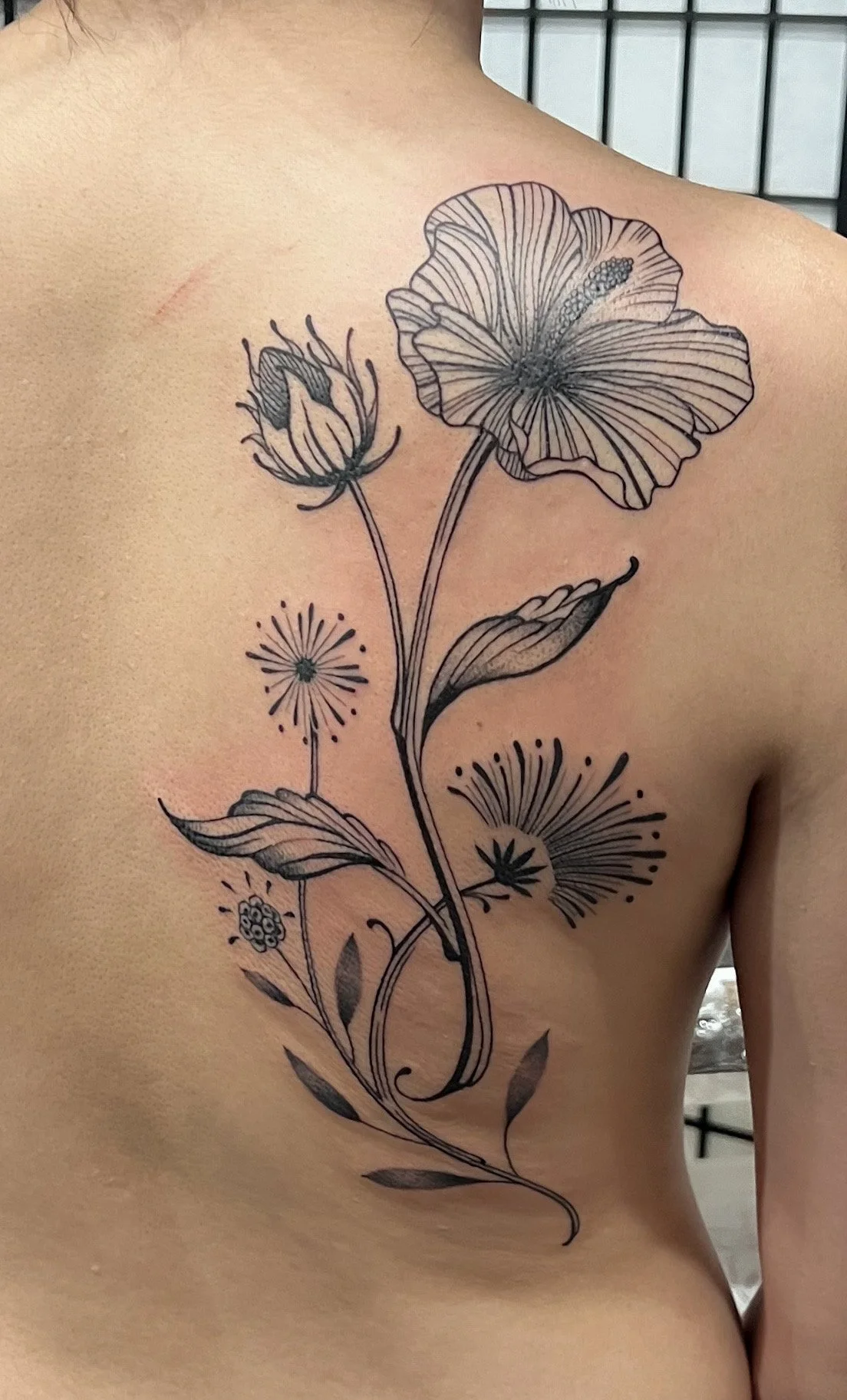 3CE887C9-80EF-440F-80A9-D406877156F3 (1).JPEG