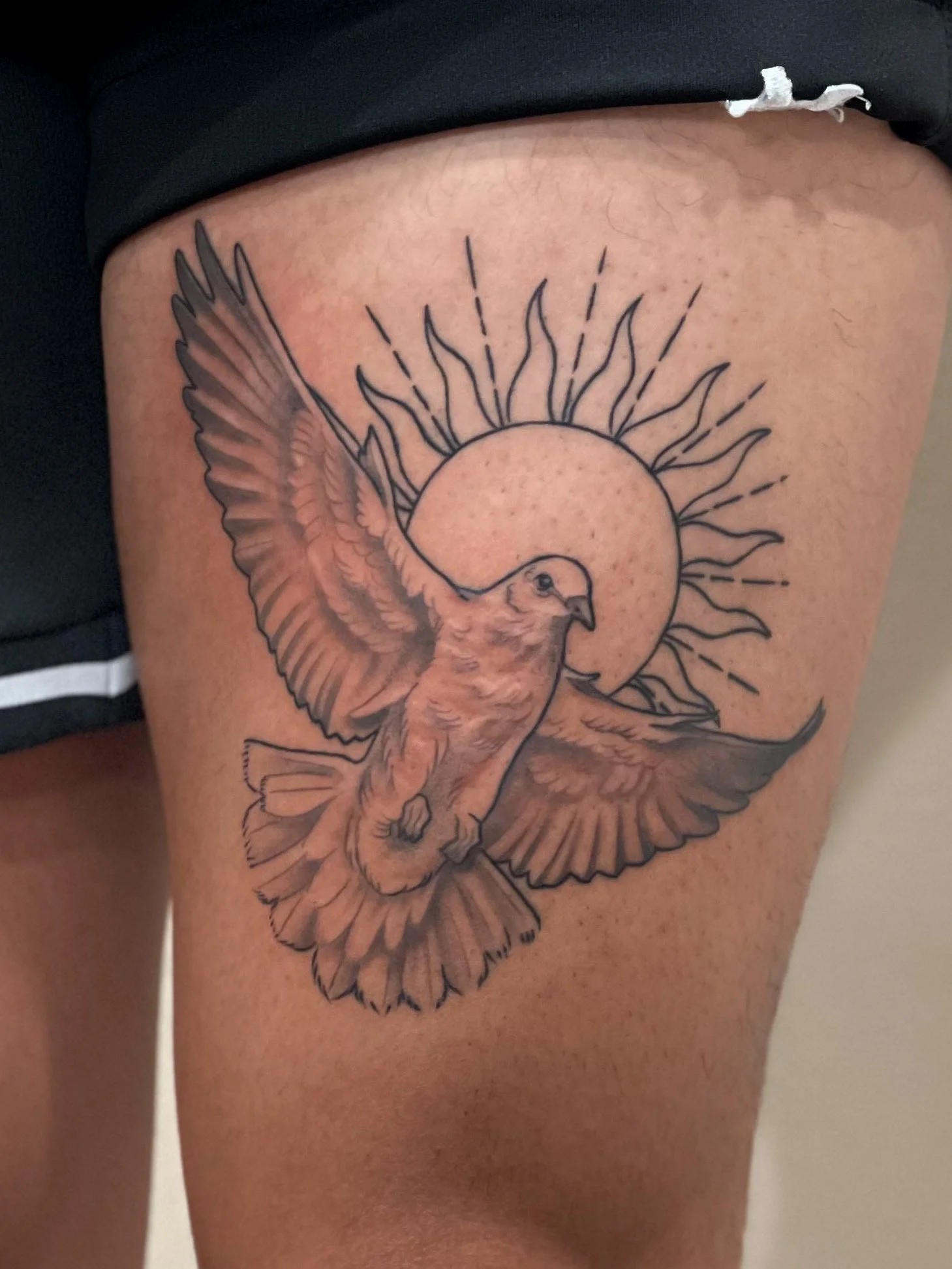 04CEC12B-0E99-4271-B9E0-3BB3D24B6200 (1).JPEG