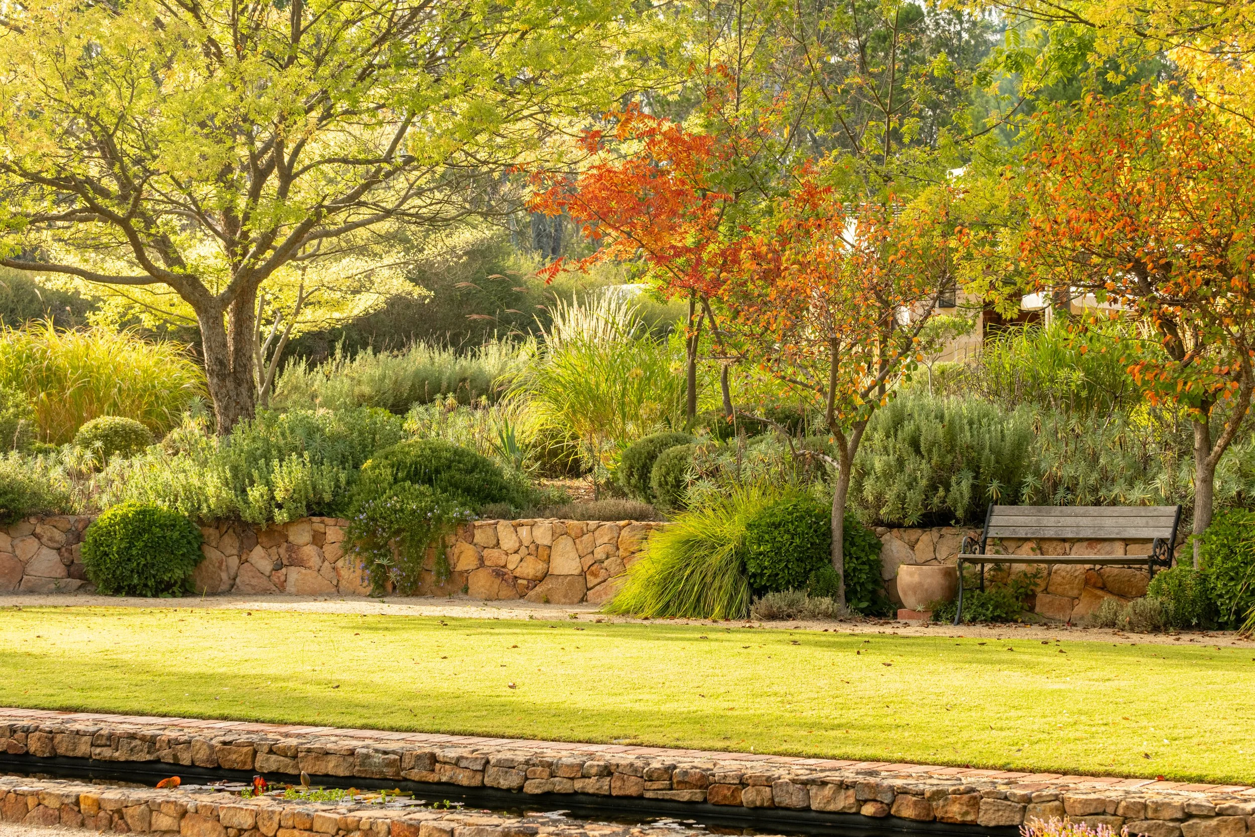A scenic outdoor garden with trees, bushes, and vibrant fall foliage, with a stone wall and a bench in the foreground.