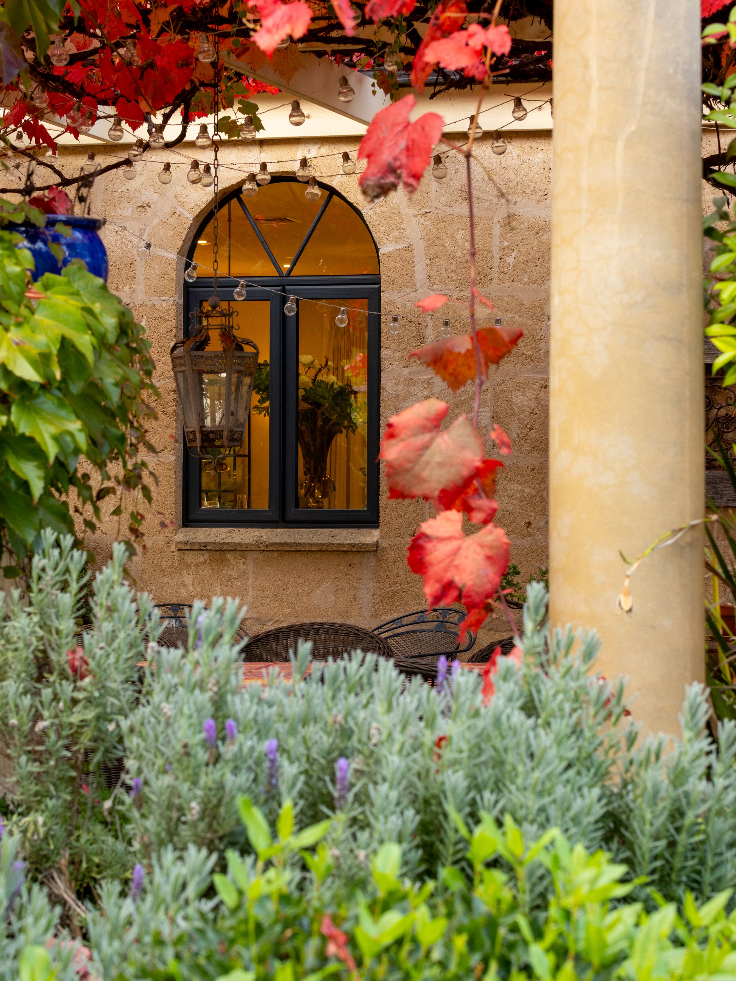 A cozy outdoor patio area with green and red foliage, a string of small clear bulbs, a beige stone wall, and a window with a black frame and a potted plant inside. There are chairs and a table partially visible at the bottom.
