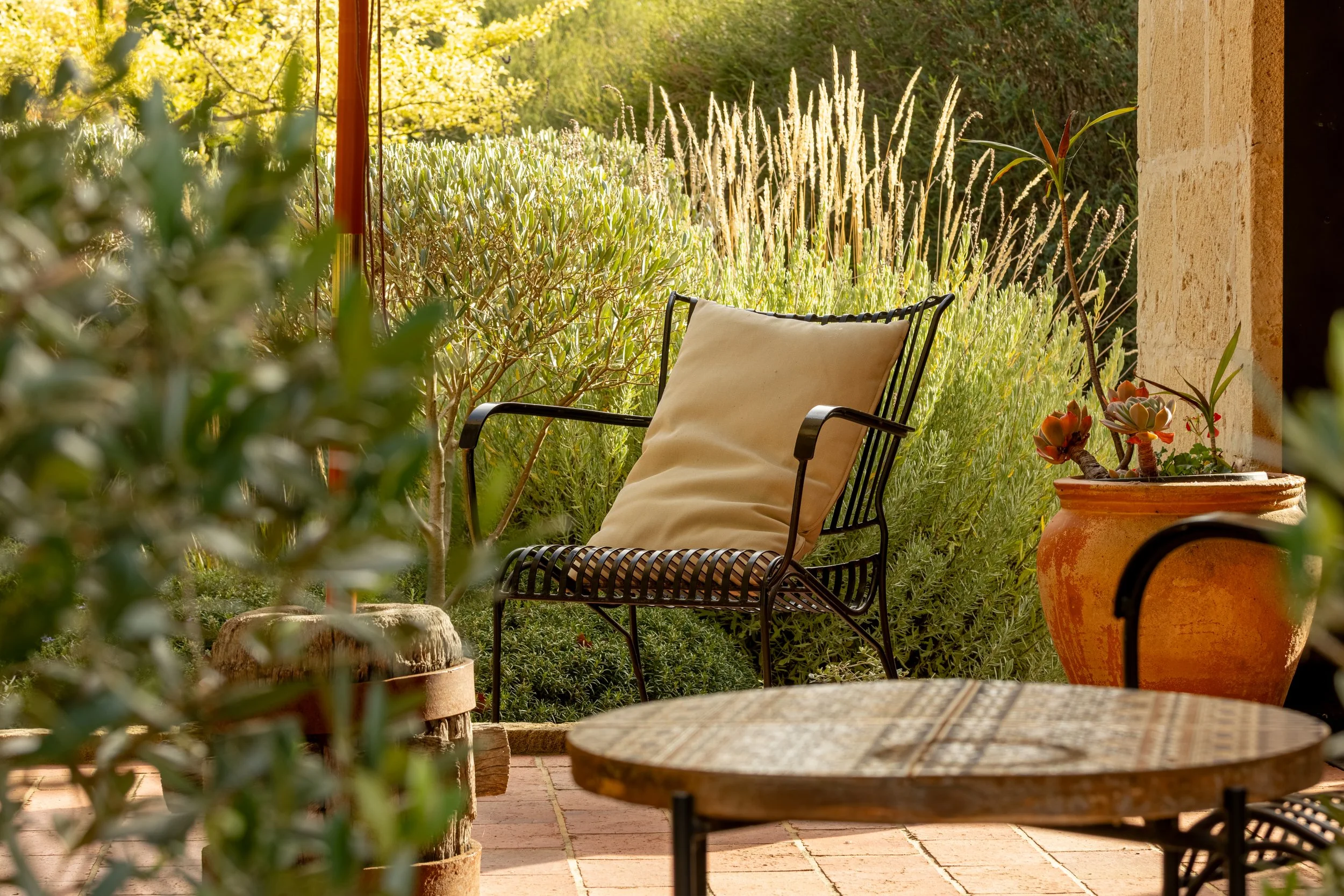 A cozy outdoor patio with a black metal chair, a beige cushion, a potted plant with red and green leaves, and lush green bushes and trees in the background, illuminated by warm sunlight.