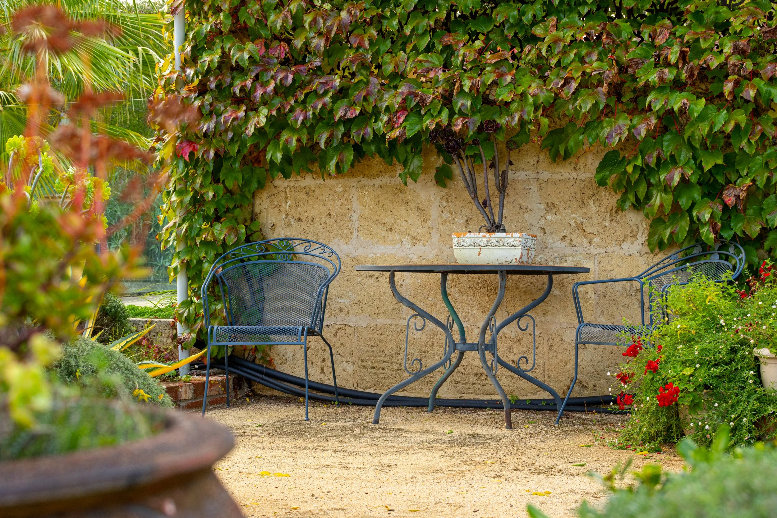 A cozy outdoor patio with a round metal table and matching chairs, surrounded by lush green plants and a wall covered in climbing vines.