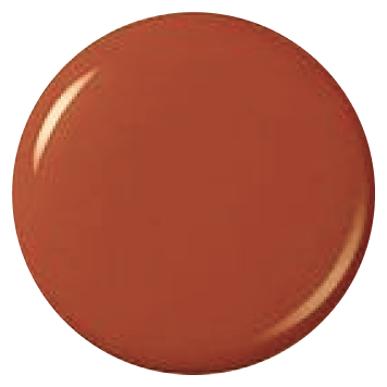 Close-up of a chocolate candy with a shiny surface