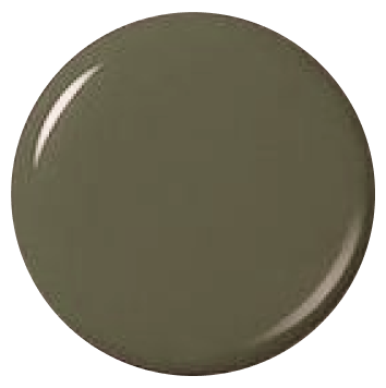 Close-up of a round, flat, greenish-grey tablet or pill.