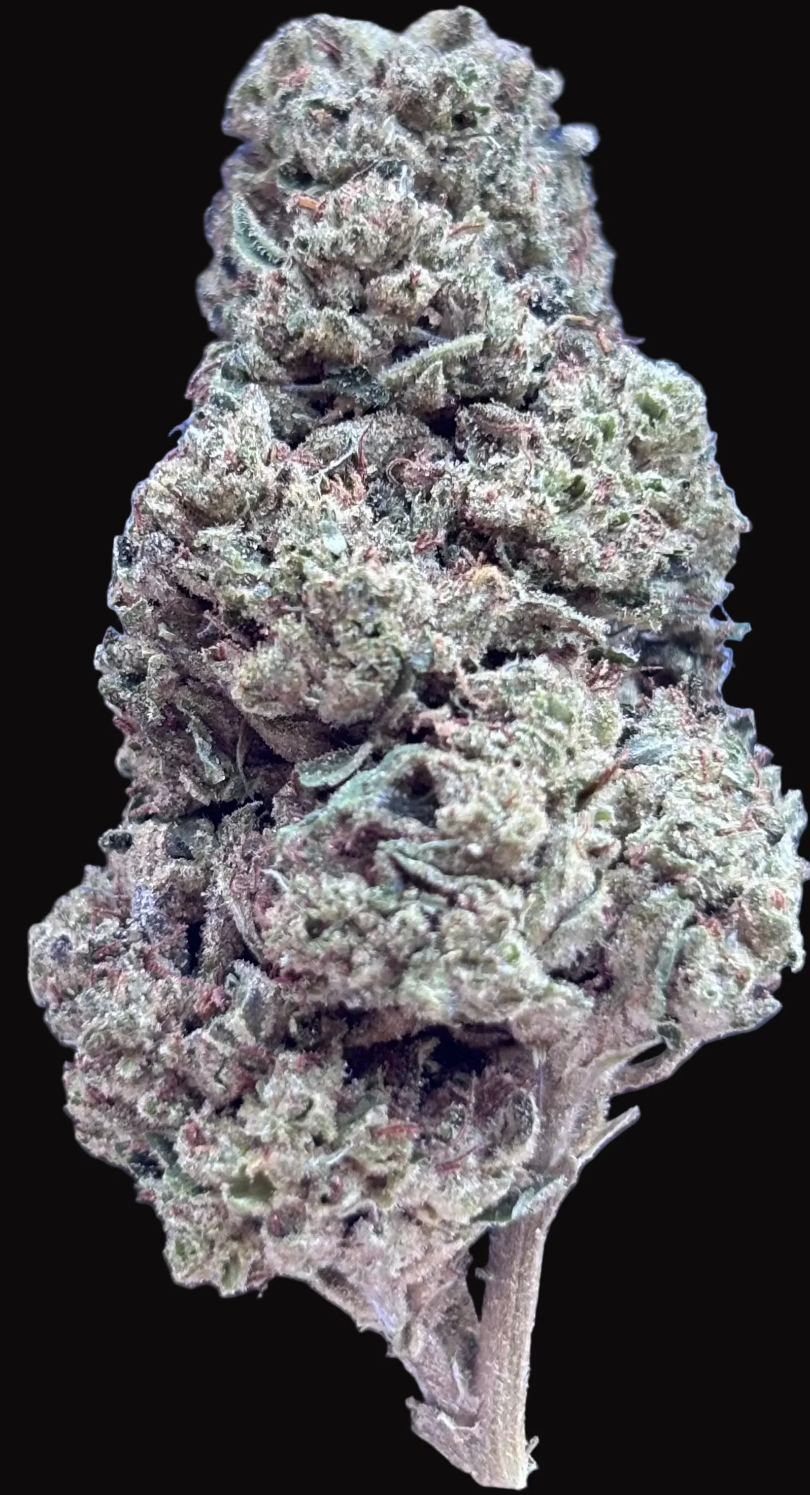 BB Skittles THCA Flower