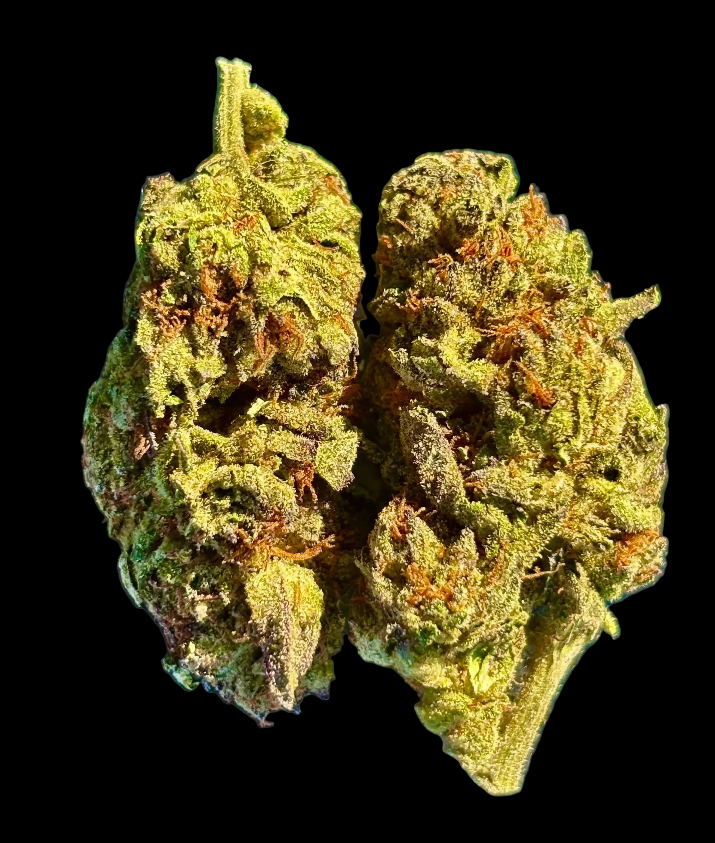 Tropical Cookies THCA Flower