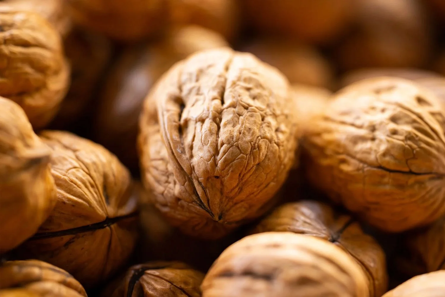 loopback-walnuts.jpg