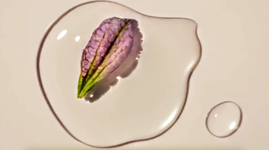 Bakuchiol Benefits: More Than a Retinol Alternative