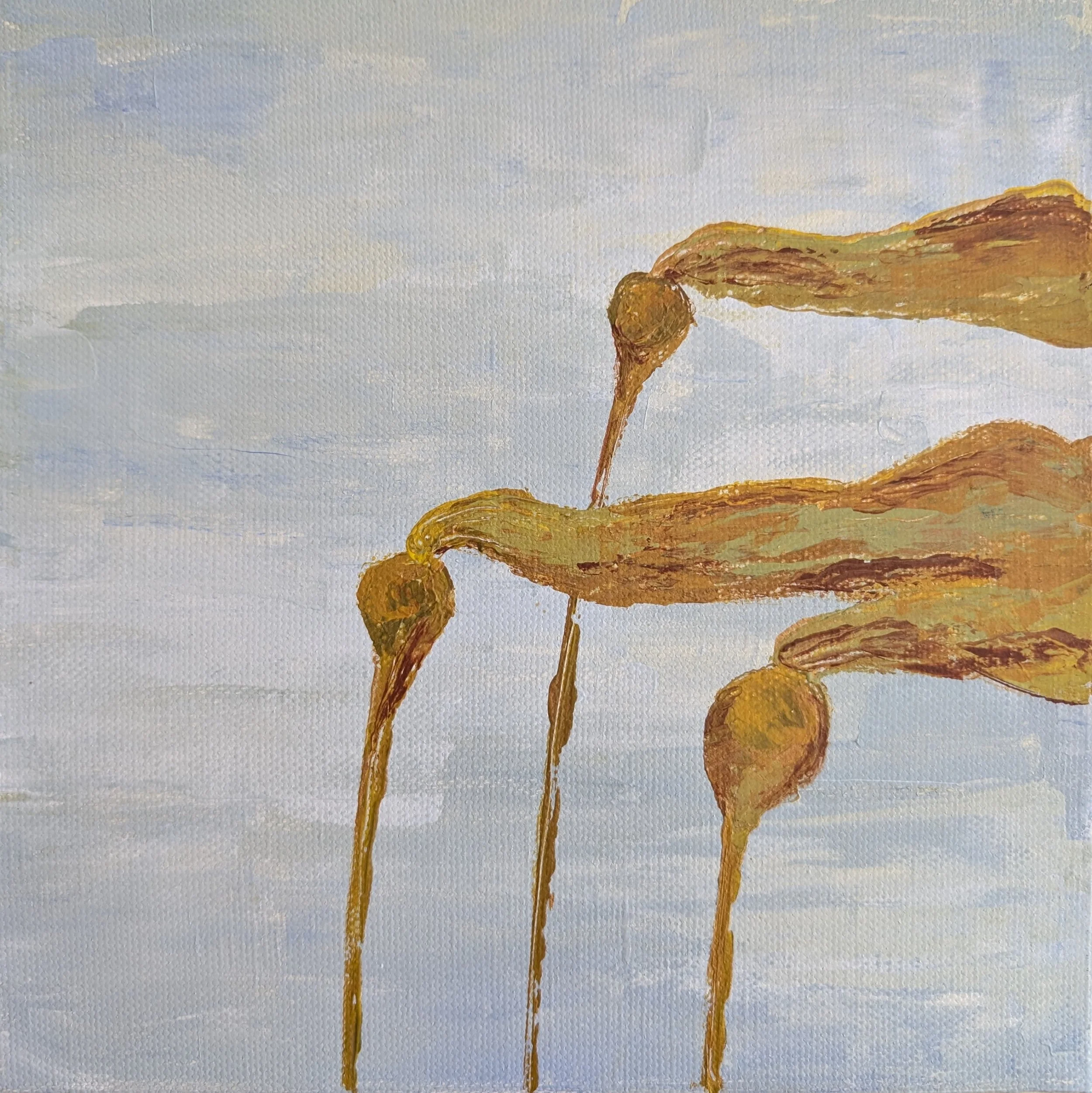 Painting of Bull Kelp