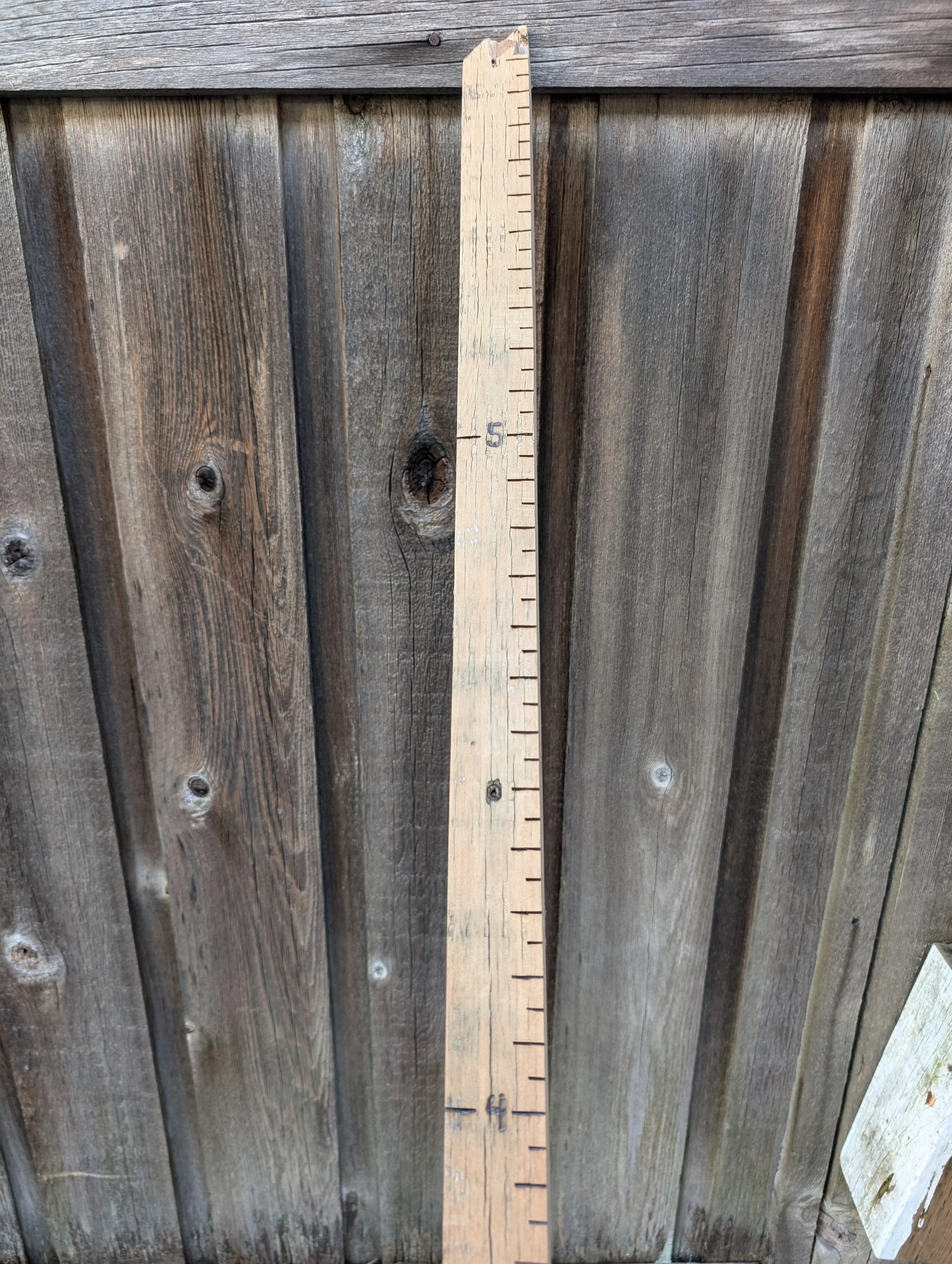 Kid height measuring stick; upcycled and wood-burned cedar fencing