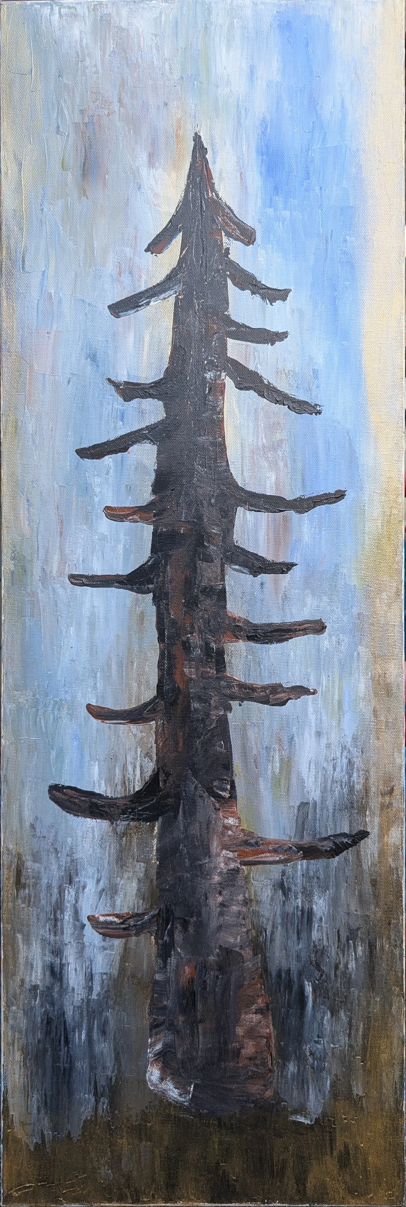 Sitka Spruce; acrylic on canvas