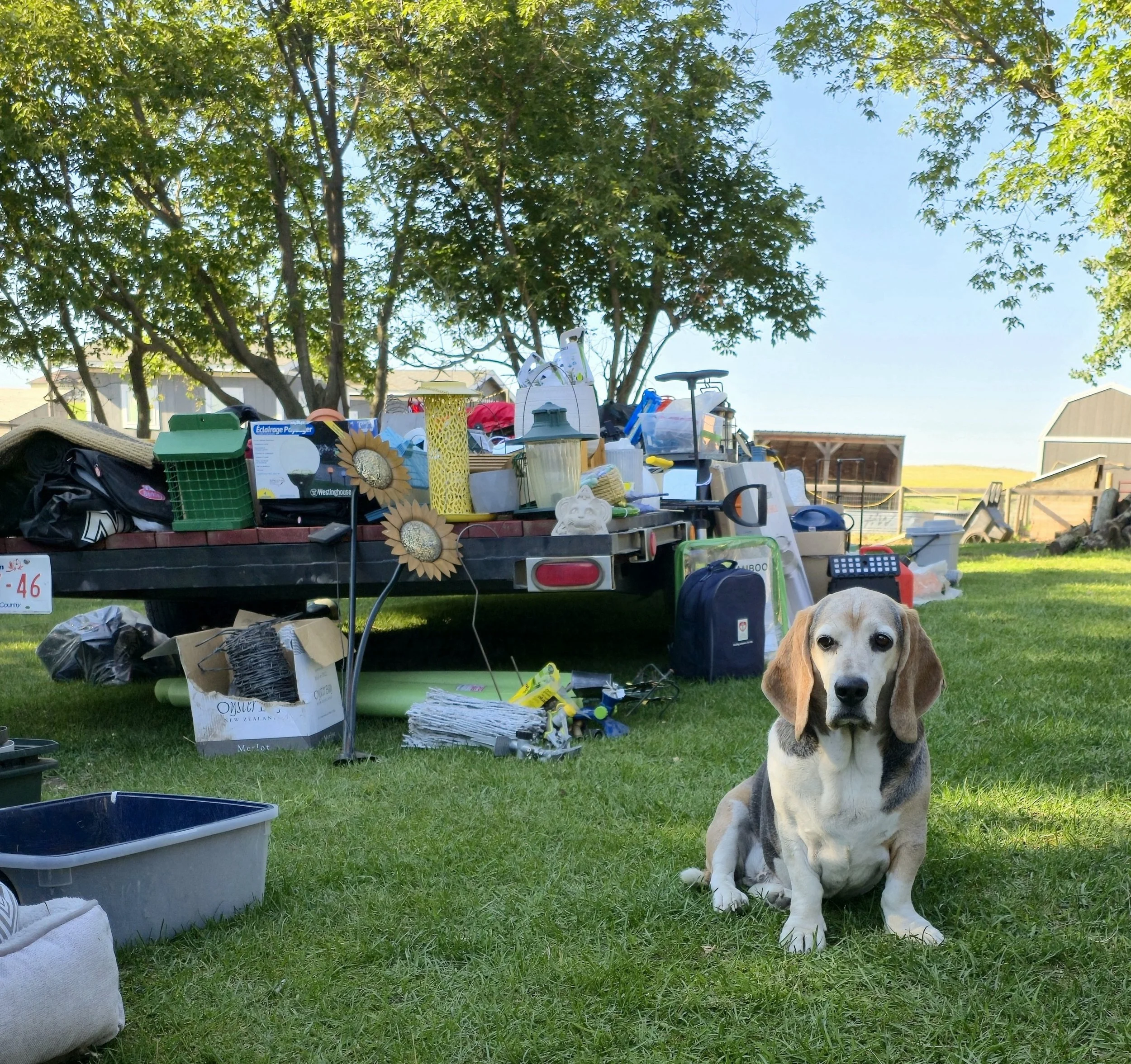 FARRM Annual Yard Sale