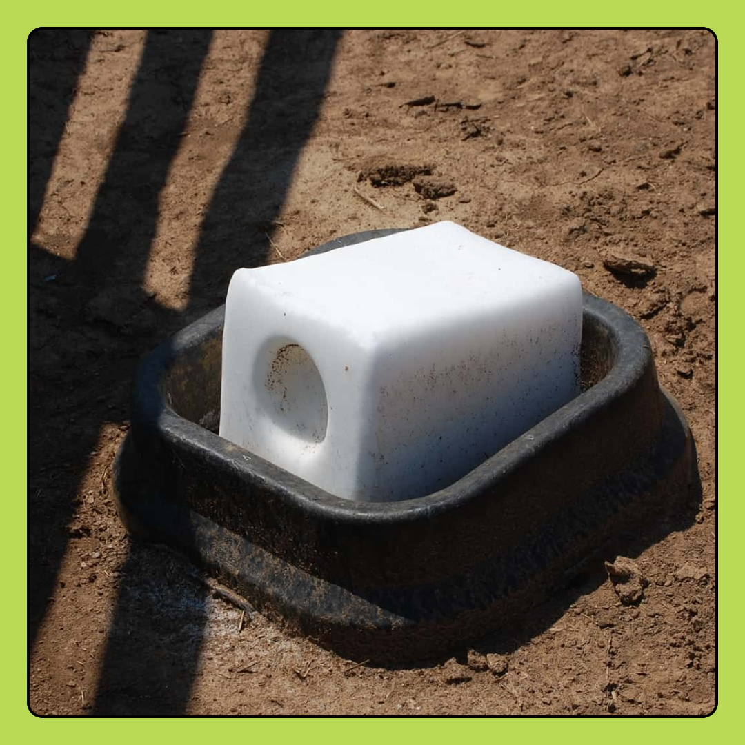 Salt Lick Block Donation