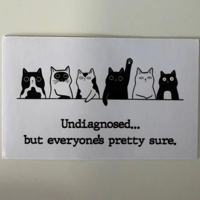 undiagnosed but...small sticker.jpg