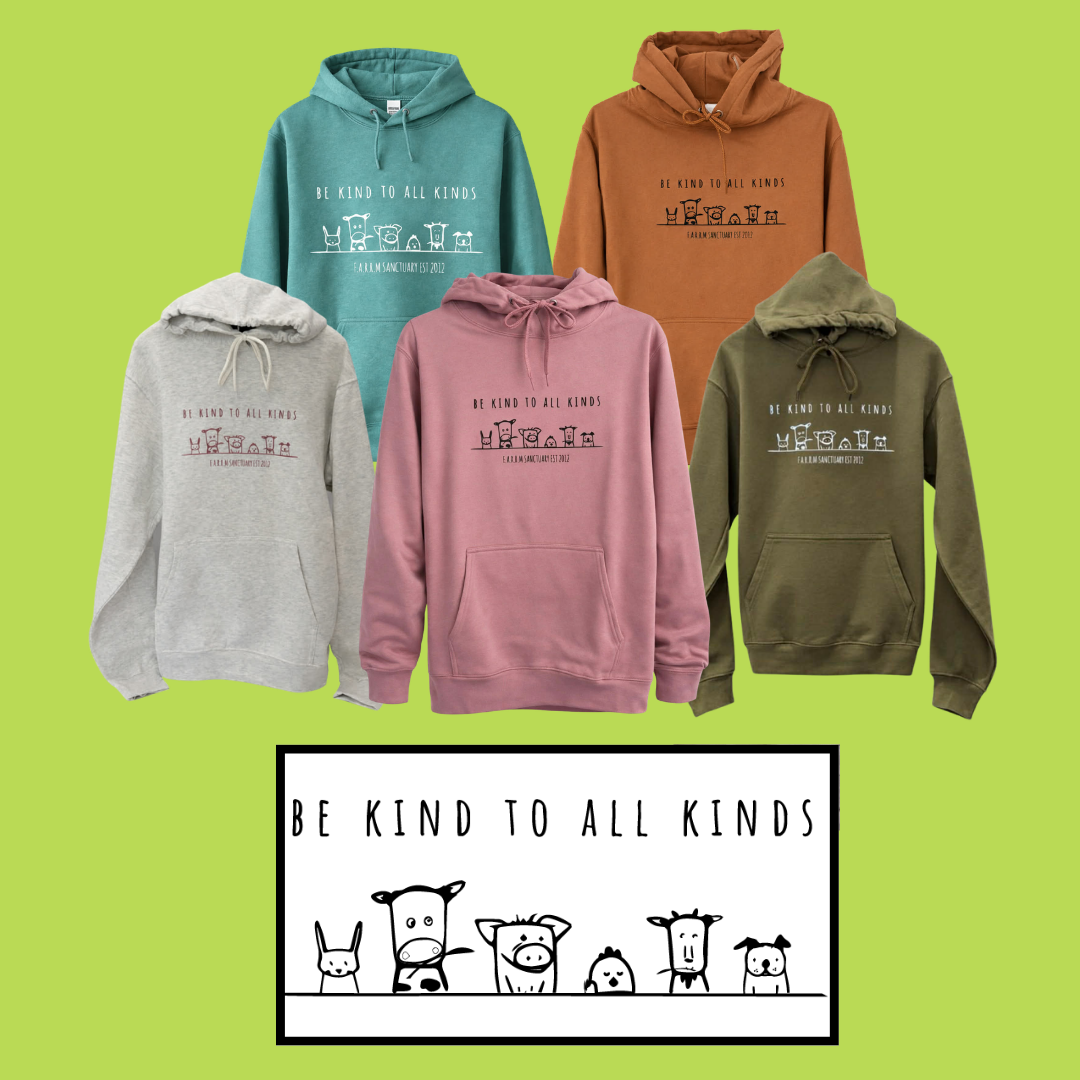 26HoodieA.png (Copy)