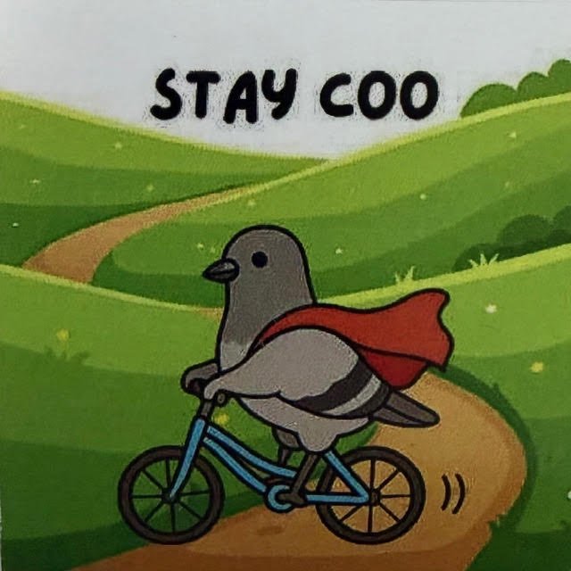 stay coo sticker small.jpg