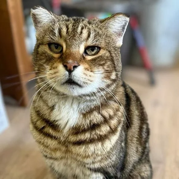 Frank