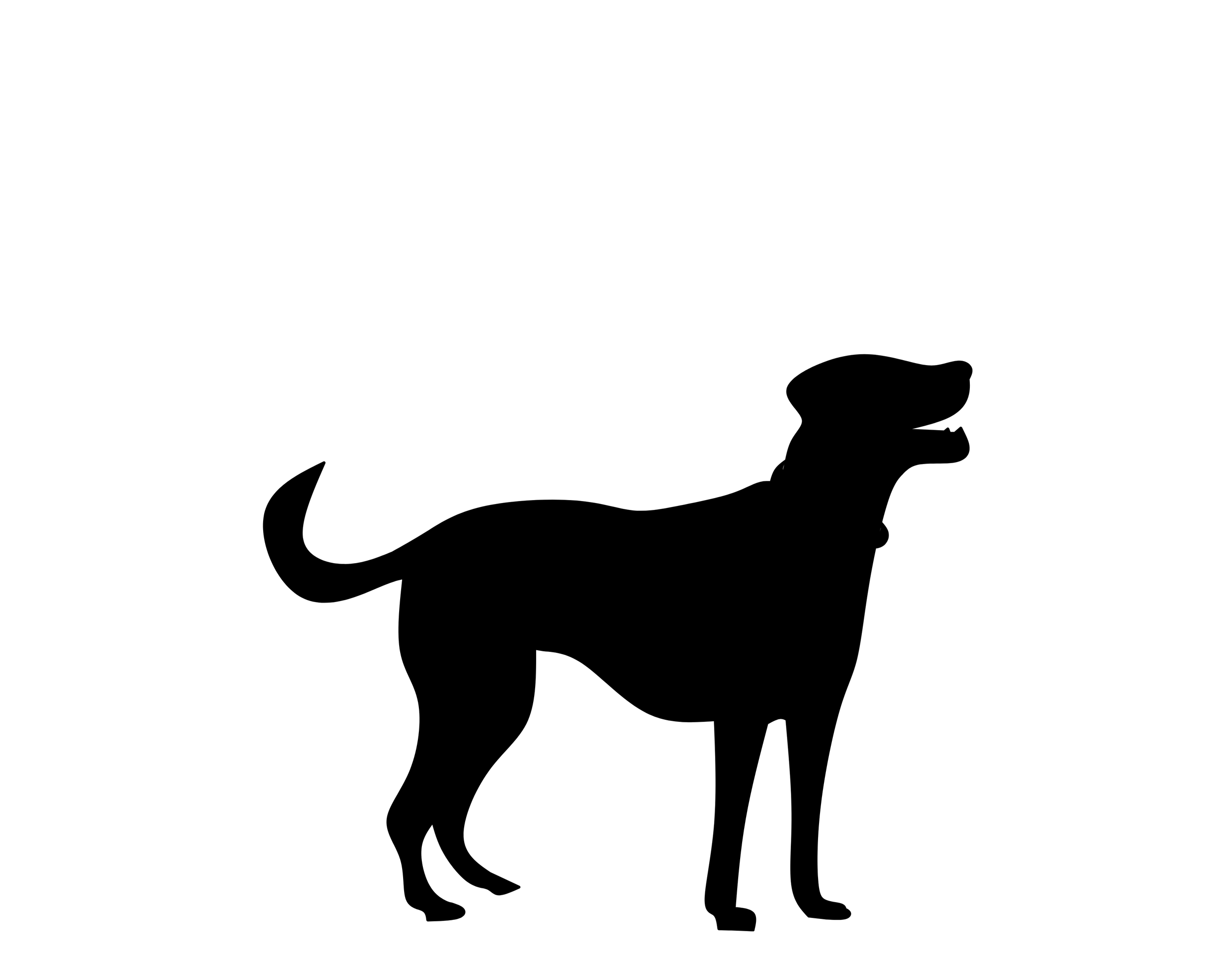 Sponsor Dogs ($25/month)
