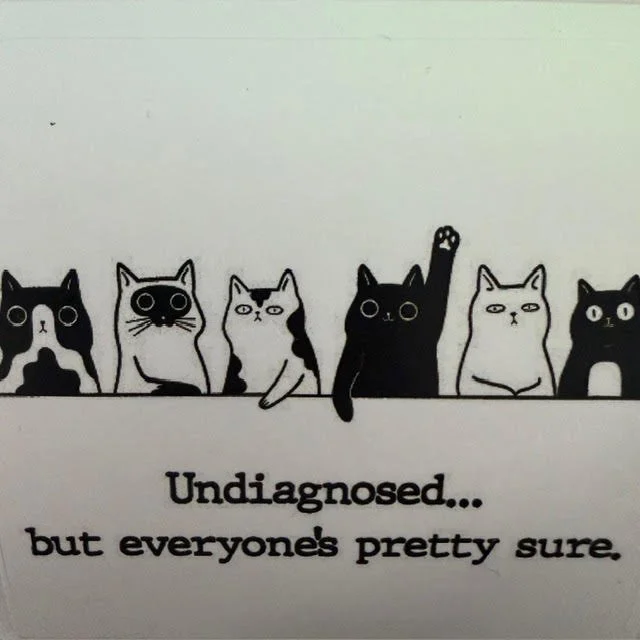 undiagnosed LARGE.jpg