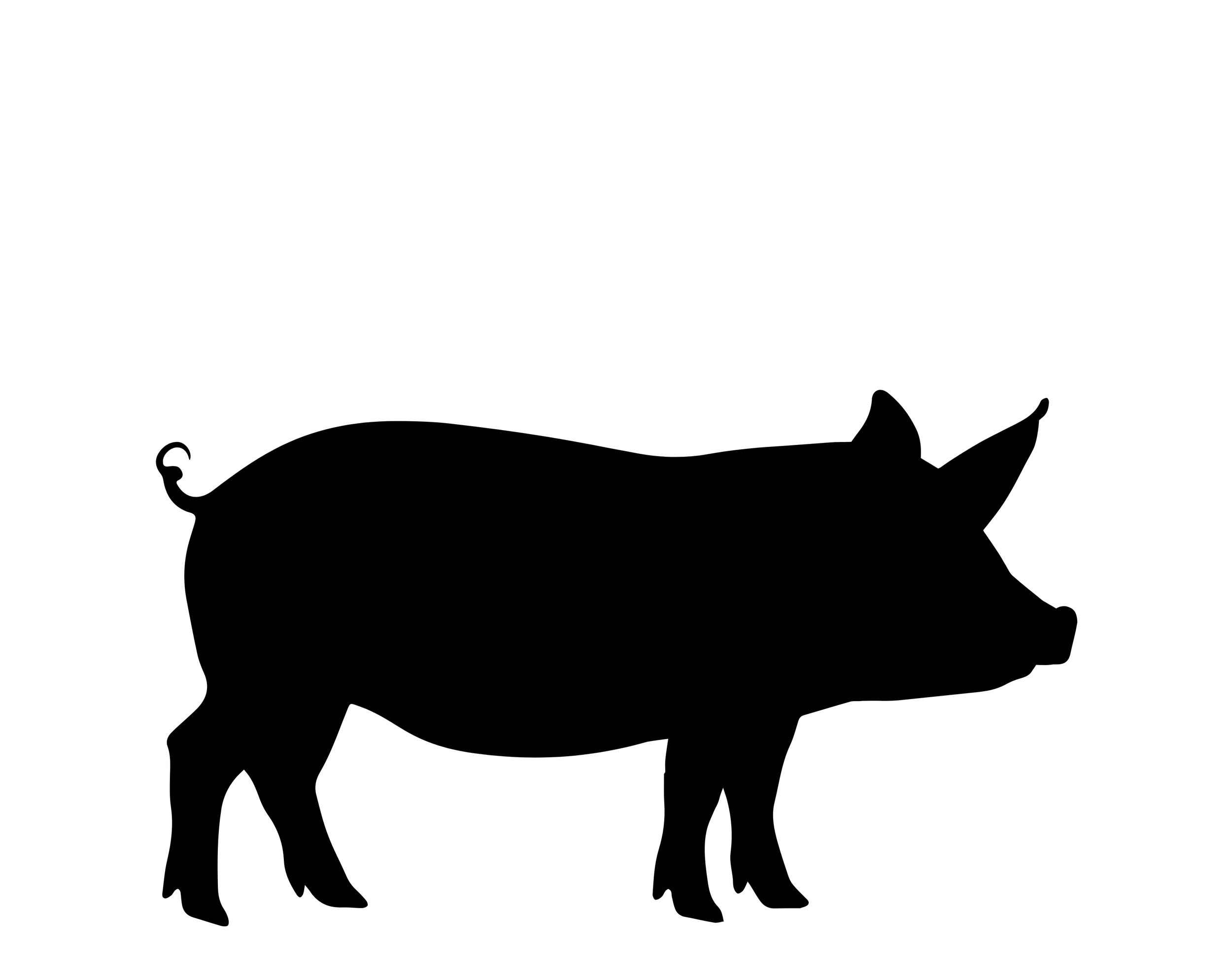 Sponsor Pigs ($30/month)
