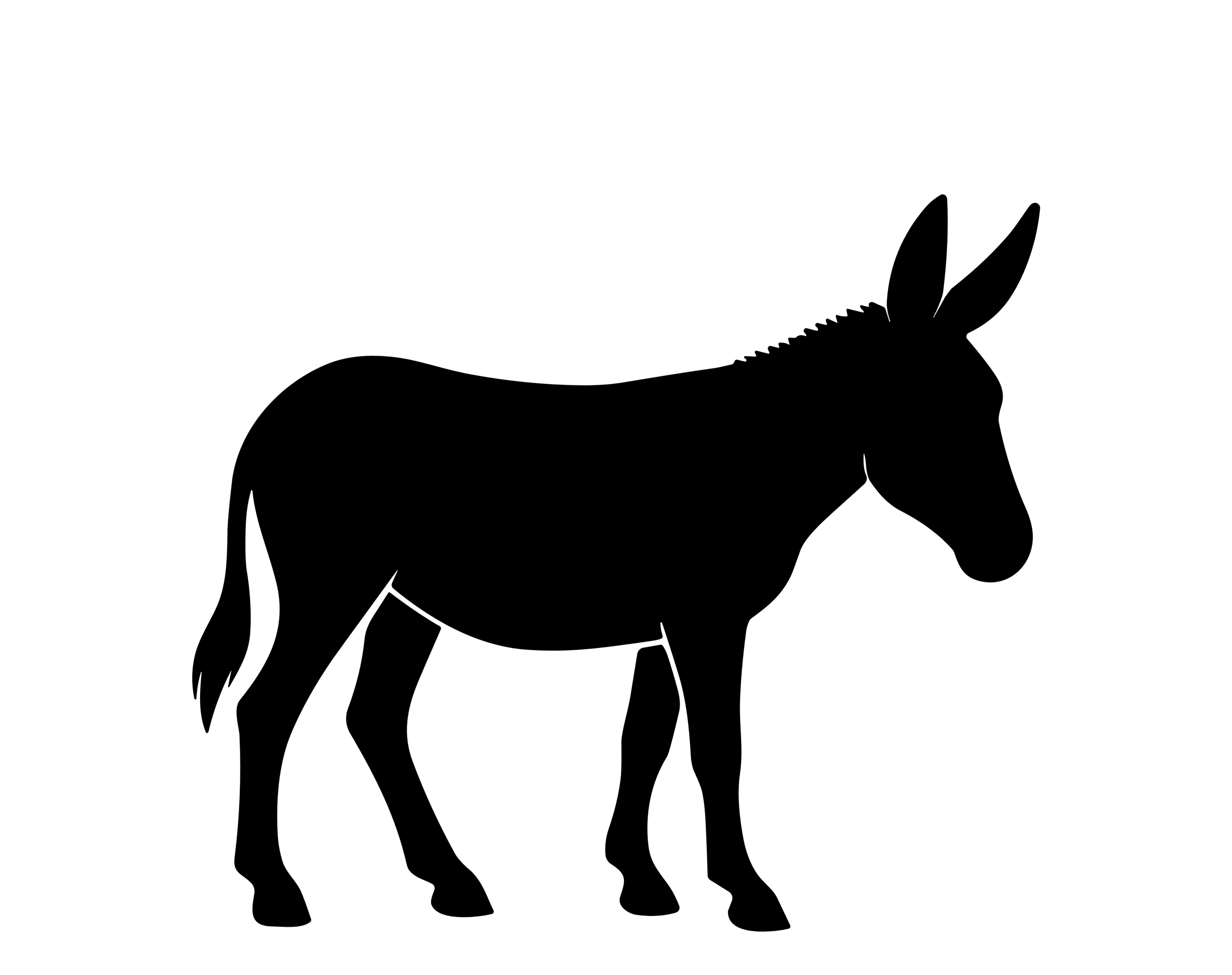 Sponsor Donkeys ($60/month)