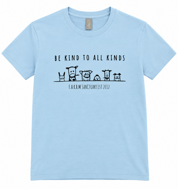 youth shirt be kind blue.png