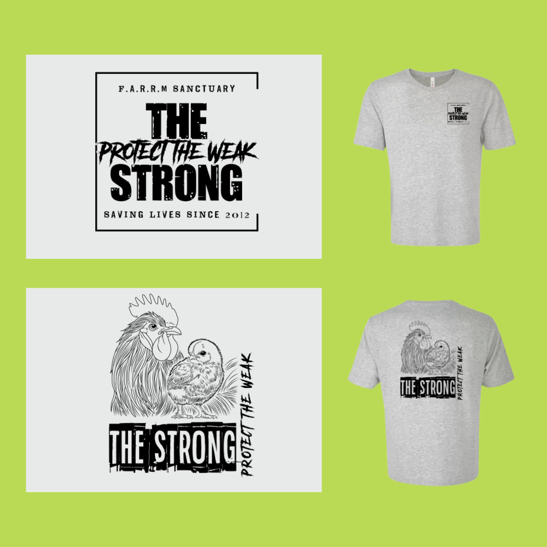 unisex shirt, chicken, athletic grey.png