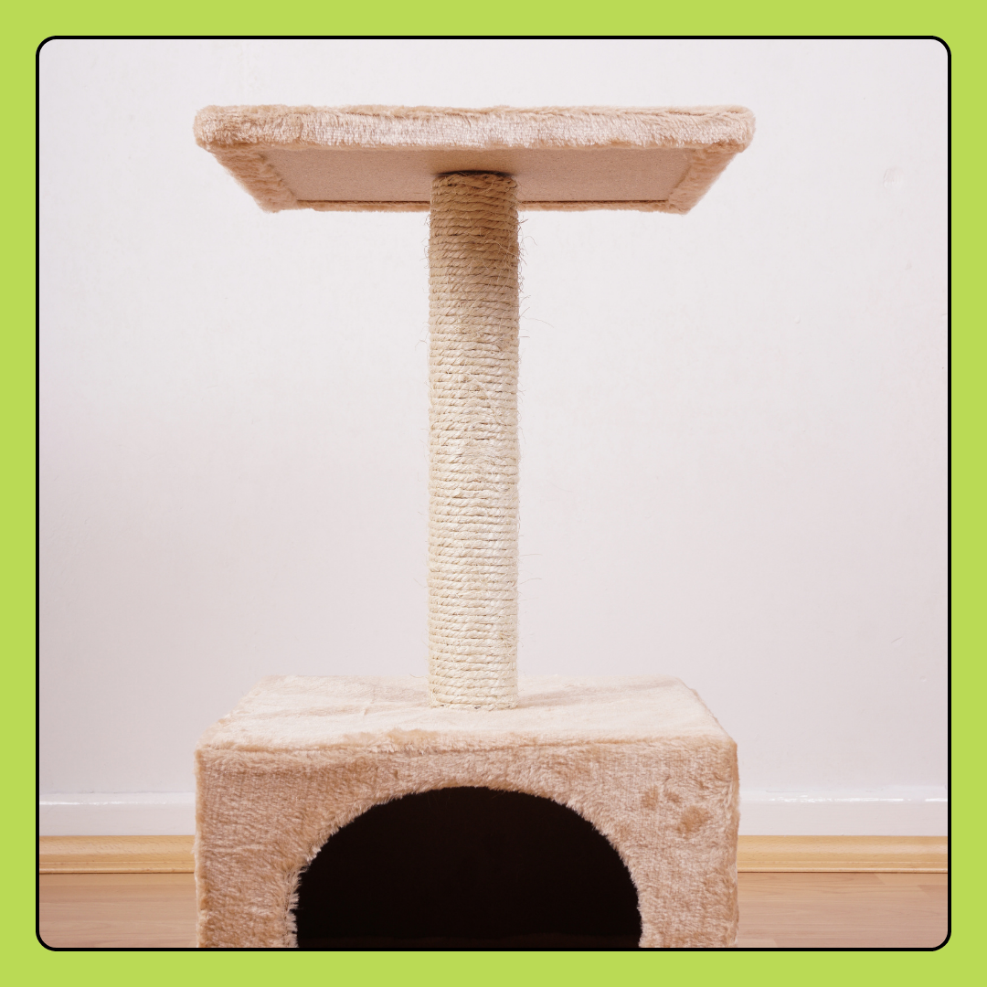 Cat Tree Donation