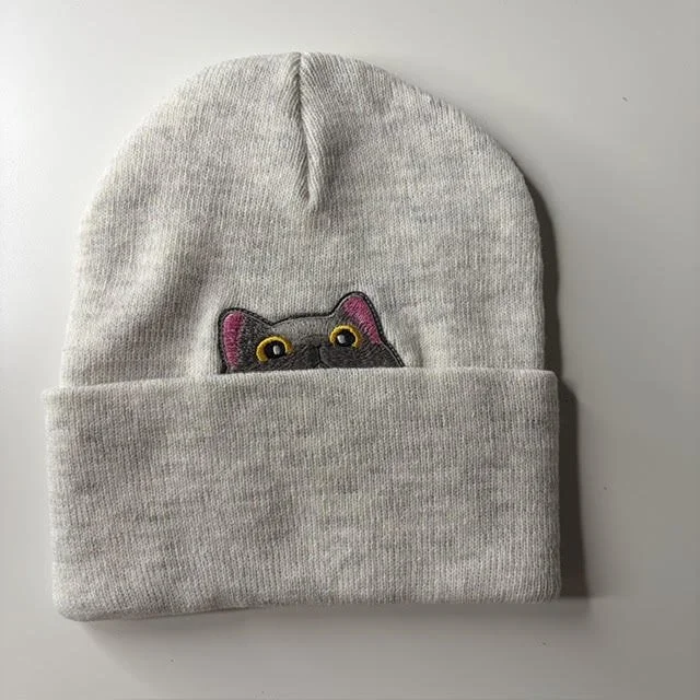grey and grey cat.jpg