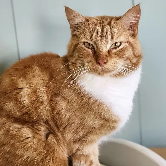 Charlie
