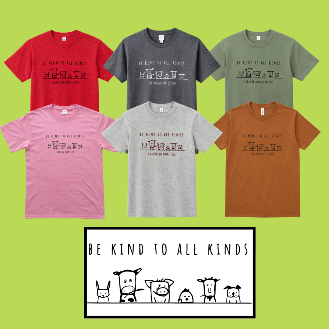 26TSHIRTA.png