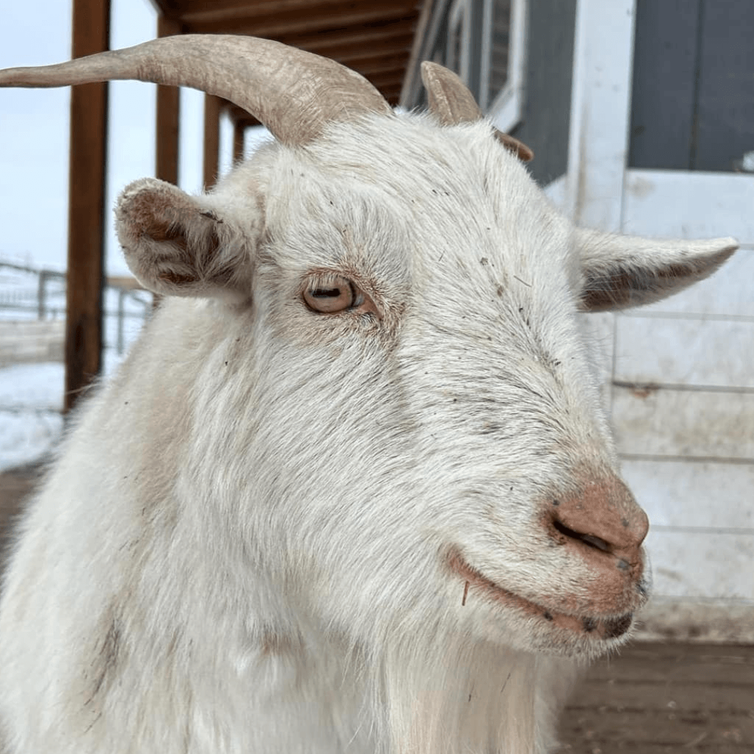 Duncan