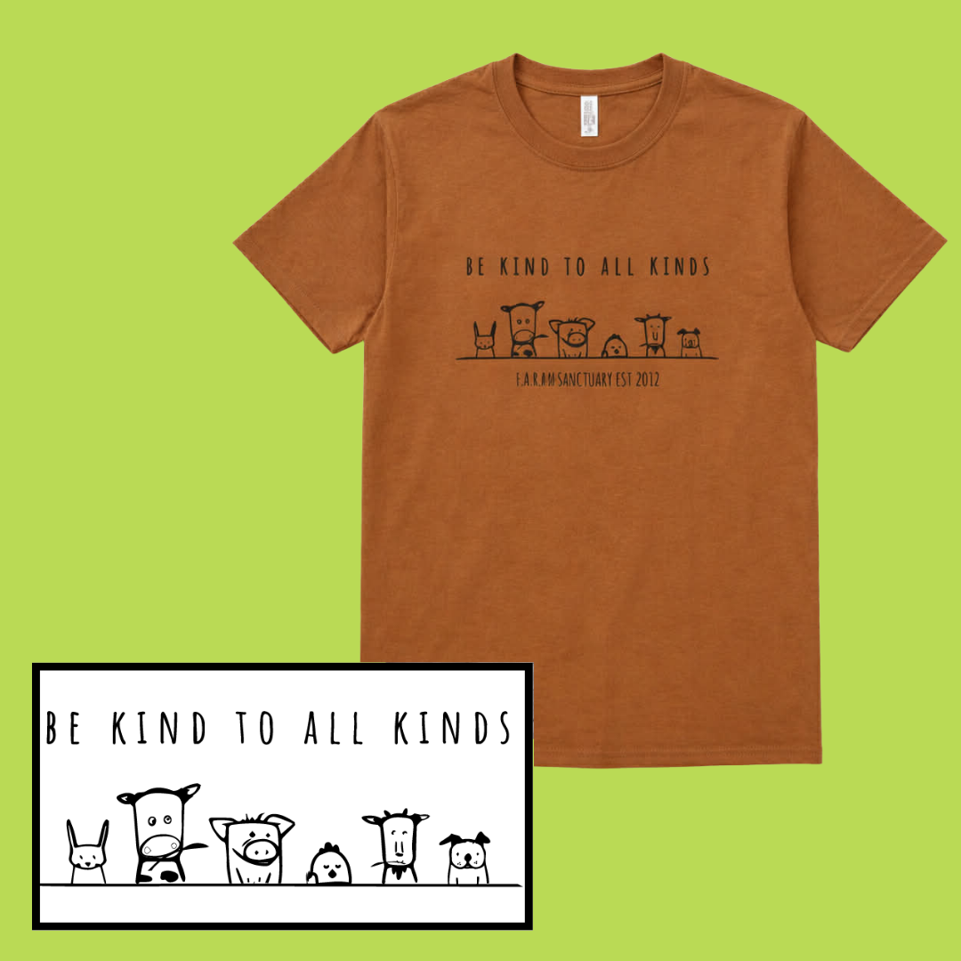 26TshirtBrown.png