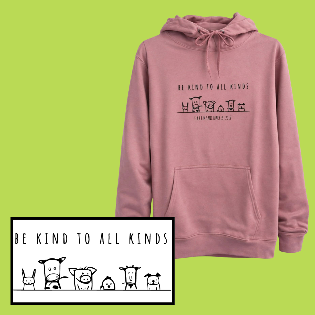26HoodiePink.png (Copy)