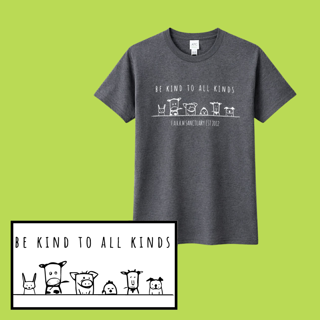 26Tshirtgray.png