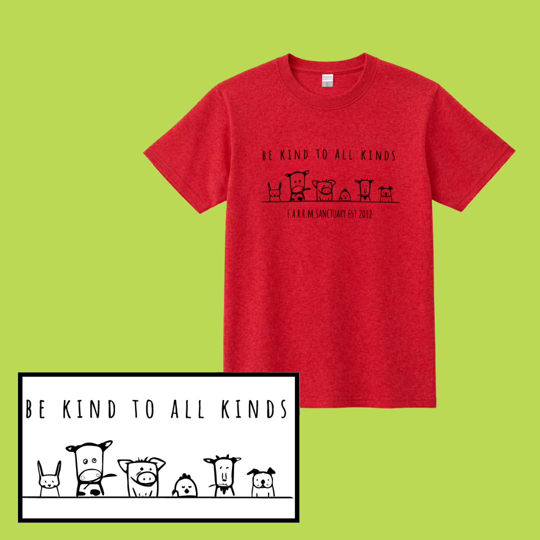 26TshirtRed.png