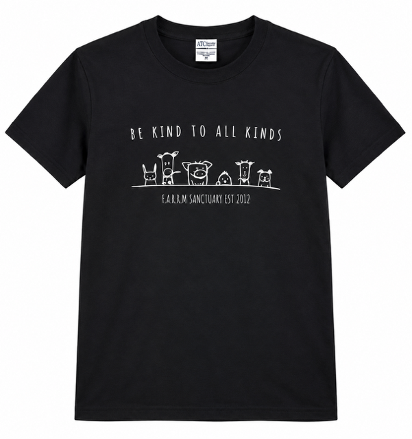 youth shirt be kind.png
