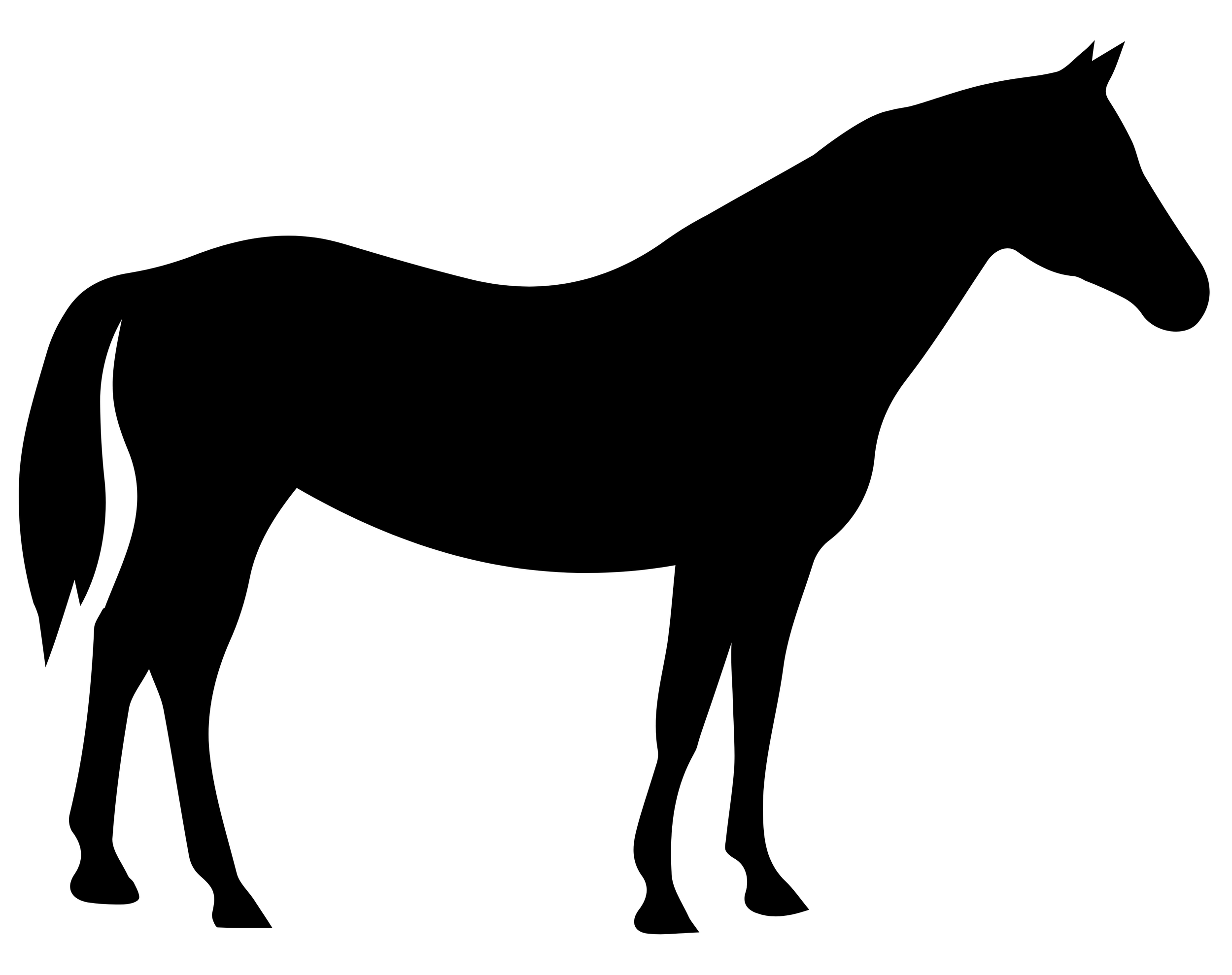 Sponsor Horses ($60/month)