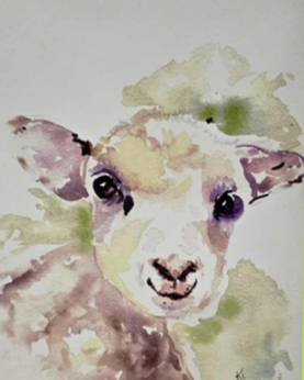 Watercolour Lamb Card