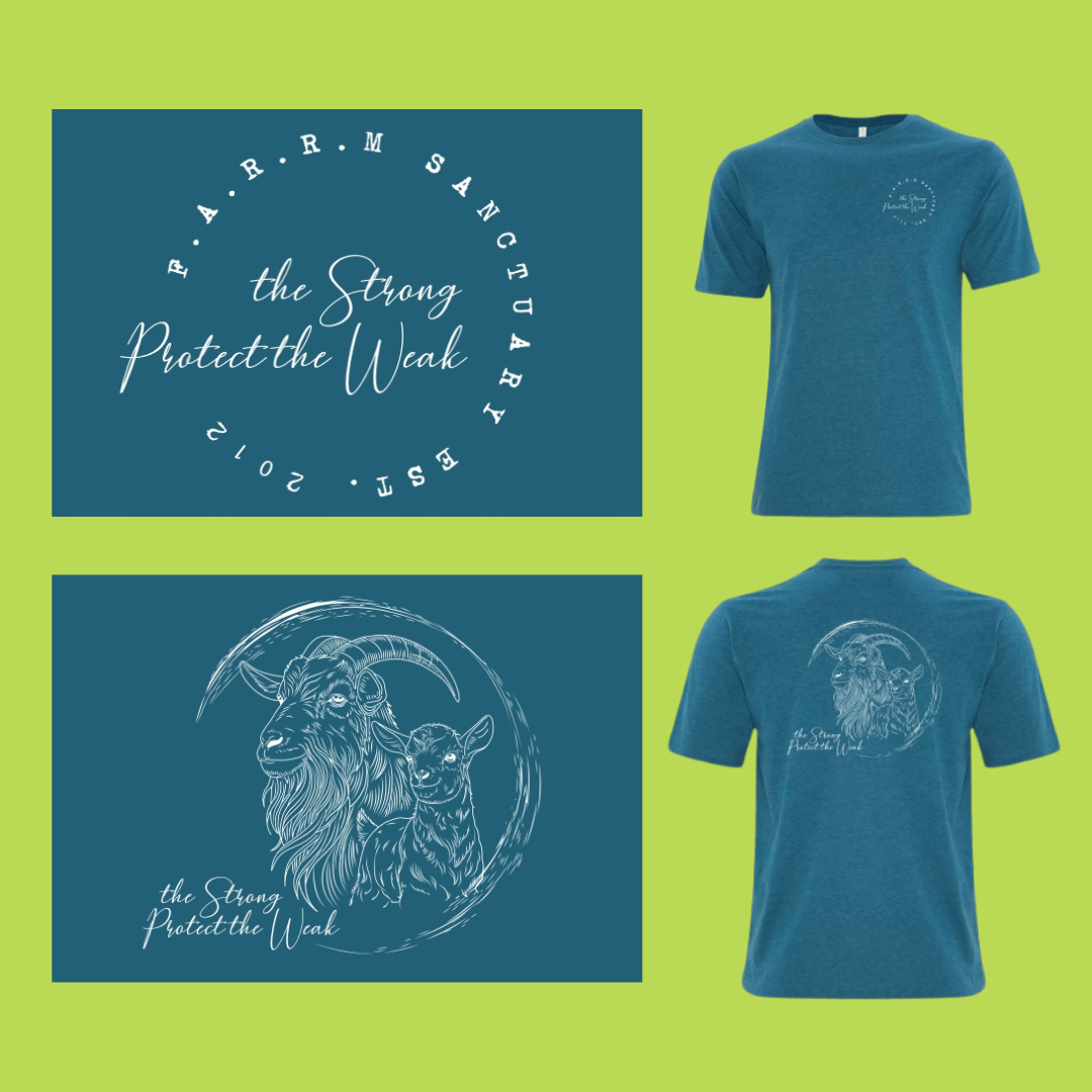 unisex shirt, masc goat, teal heather.png