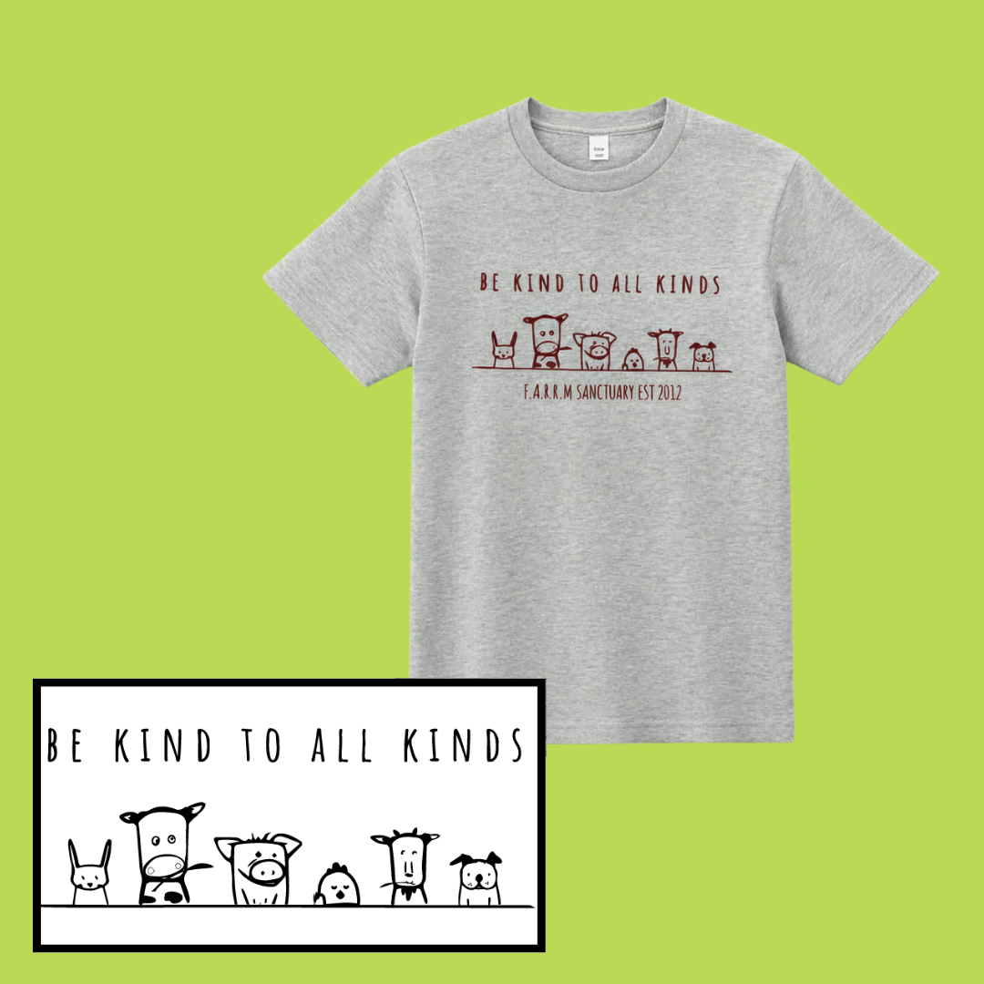 26TshirtAsh.png