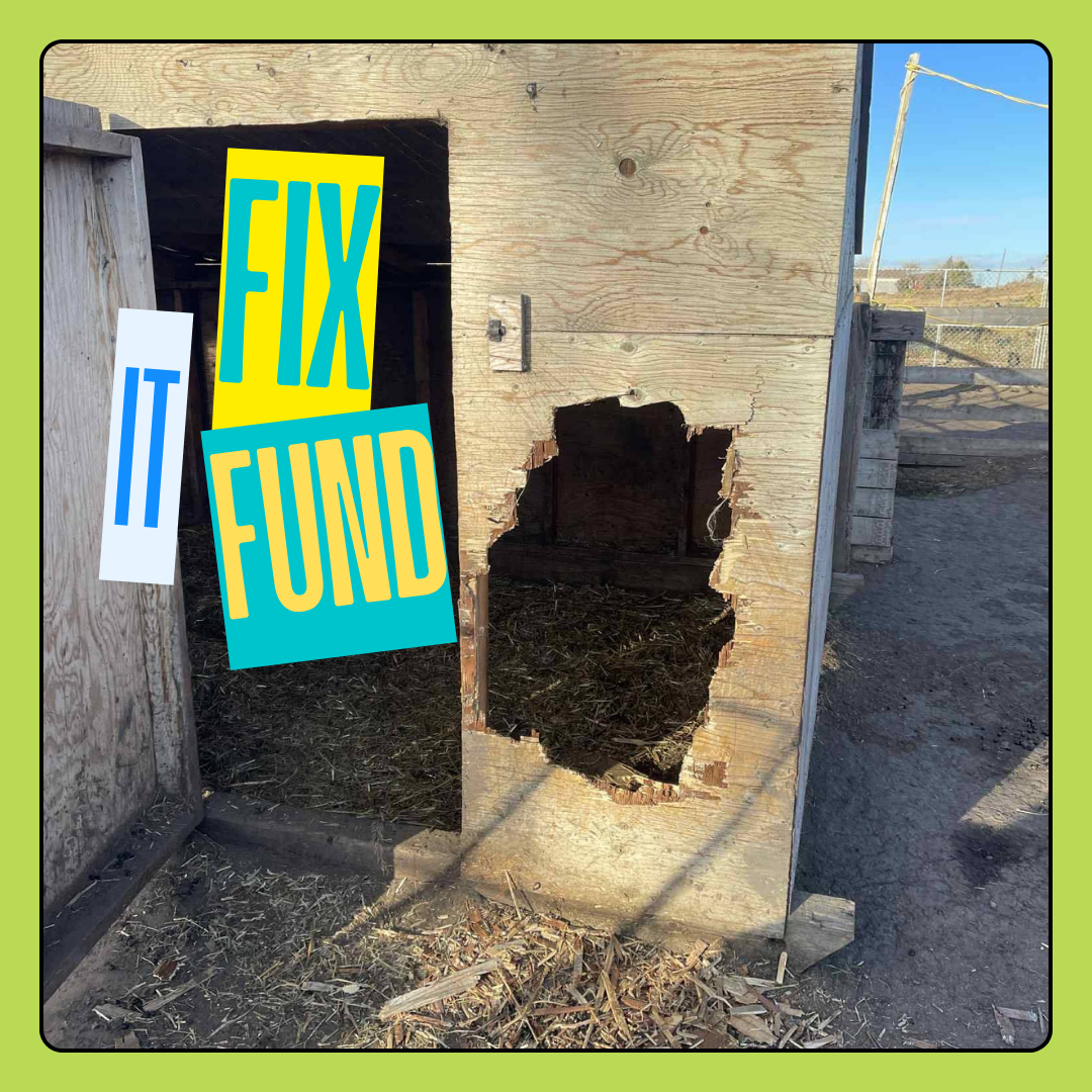 Fix-It-Fund Donation