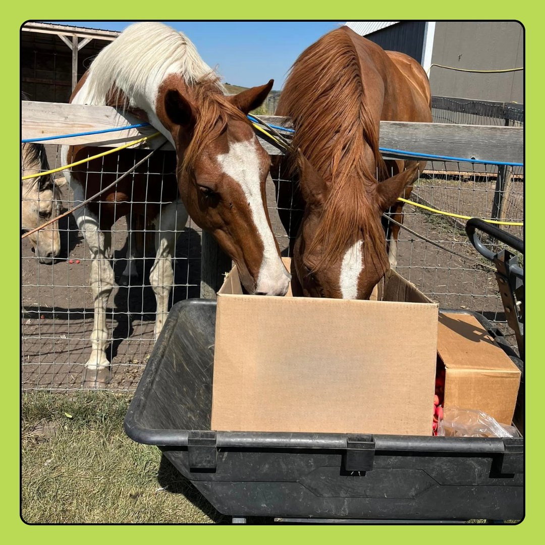 Horse Feed Donation