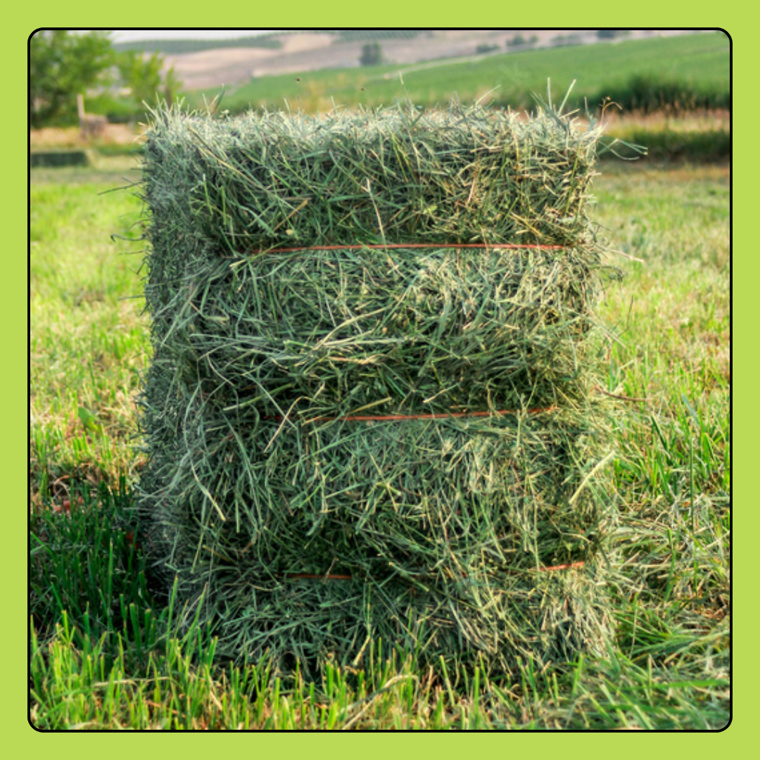 1 Square Hay Bale Donation