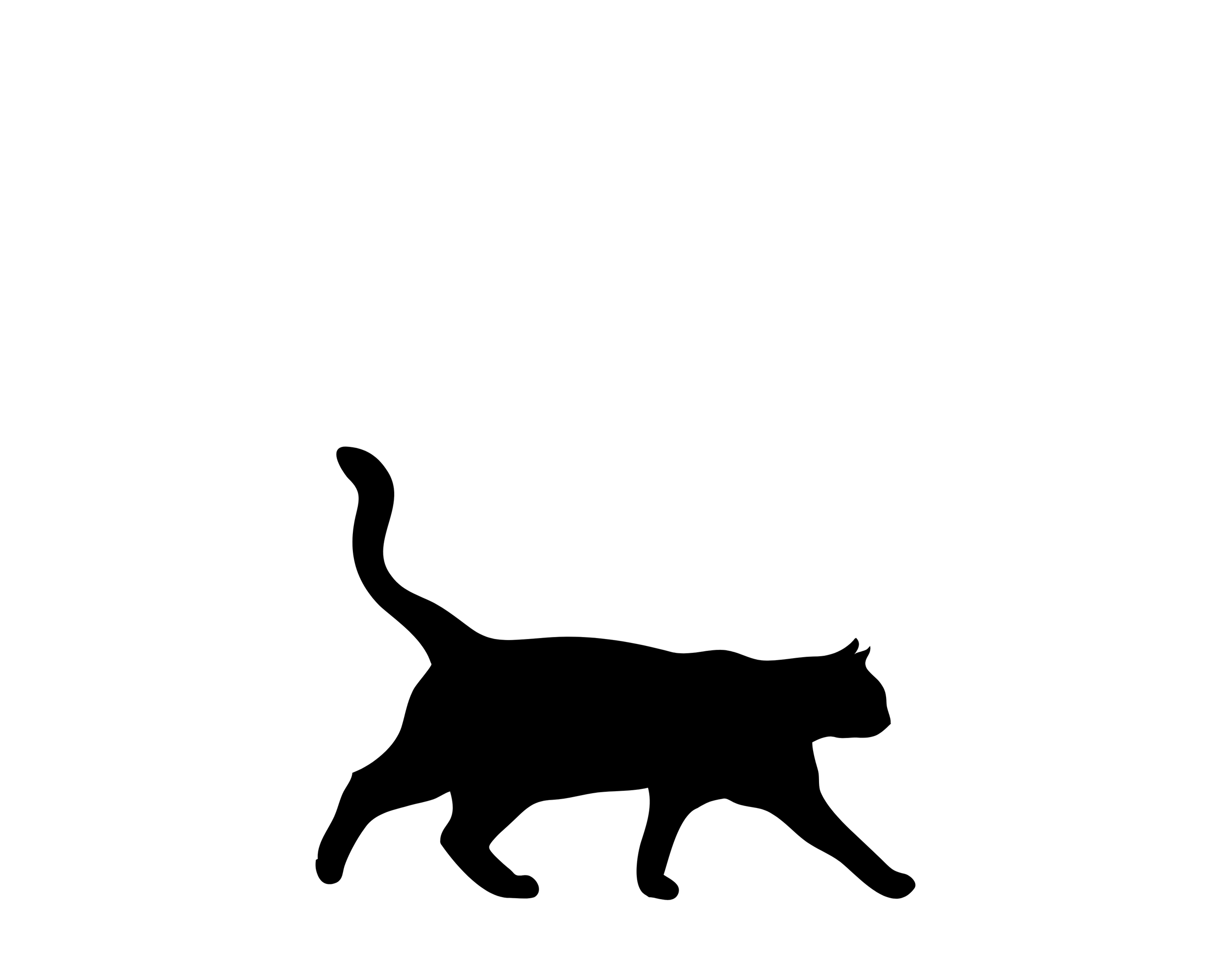 Sponsor Cats ($25/month)