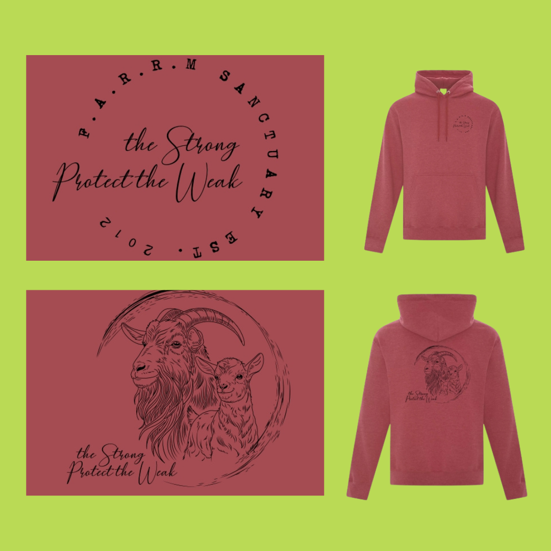 TSPTW_hoodie-goat-Circle-heatherred.png